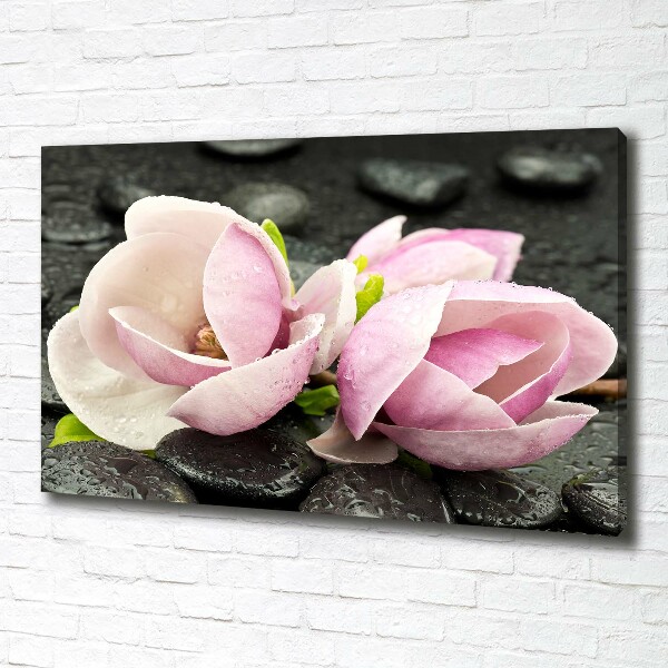 Canvas foto Magnolia zensteen