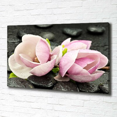 Canvas foto Magnolia zensteen