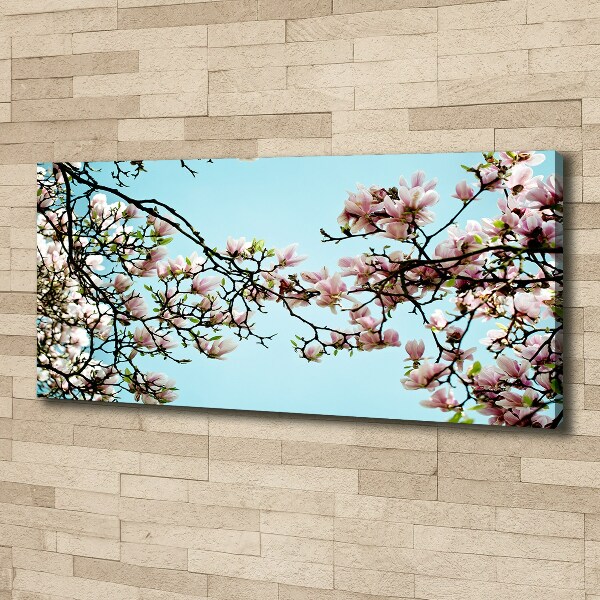 Foto canvas Magnolia bloemen
