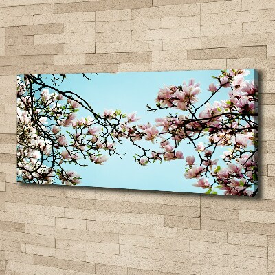 Foto canvas Magnolia bloemen