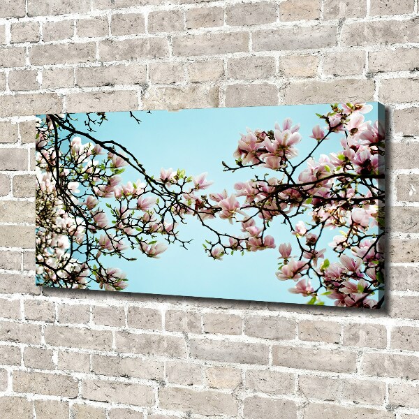 Foto canvas Magnolia bloemen