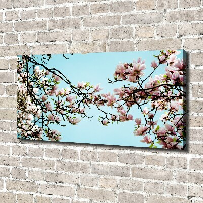 Foto canvas Magnolia bloemen