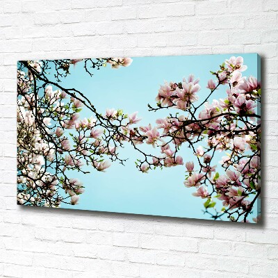 Foto canvas Magnolia bloemen