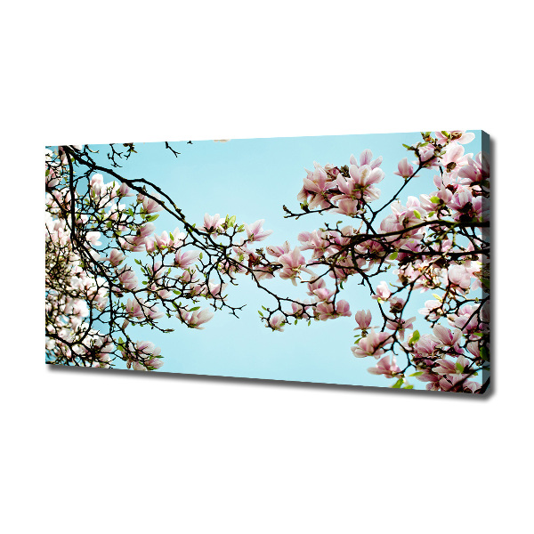 Foto canvas Magnolia bloemen