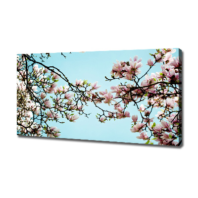 Foto canvas Magnolia bloemen