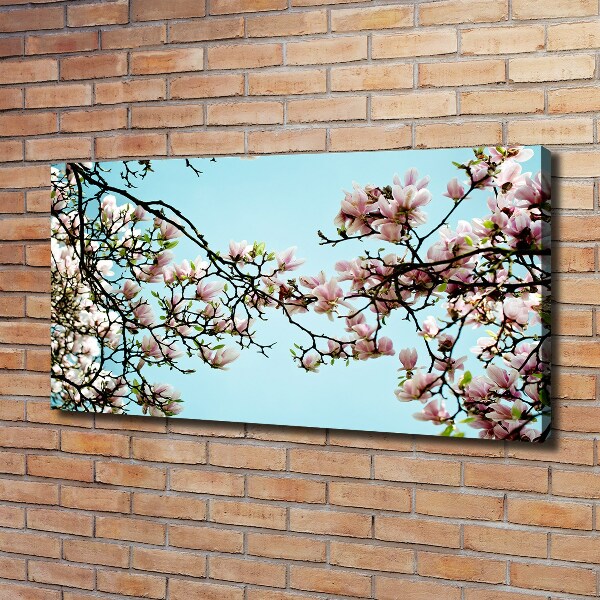 Foto canvas Magnolia bloemen
