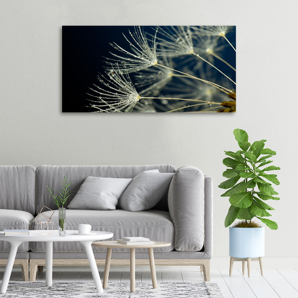 Foto op canvas Paardenbloemzaden