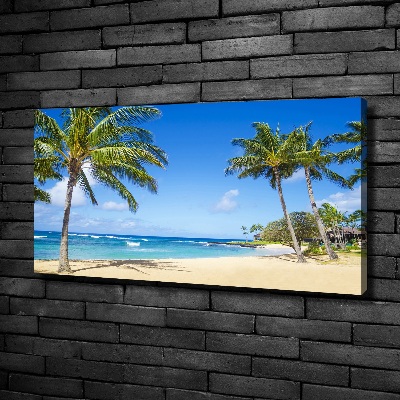 Foto canvas Tropisch strand