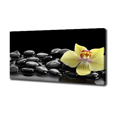 Canvas schilderij Orchidee
