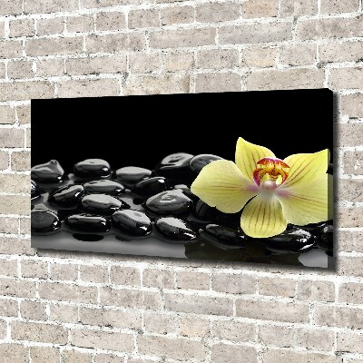 Canvas schilderij Orchidee