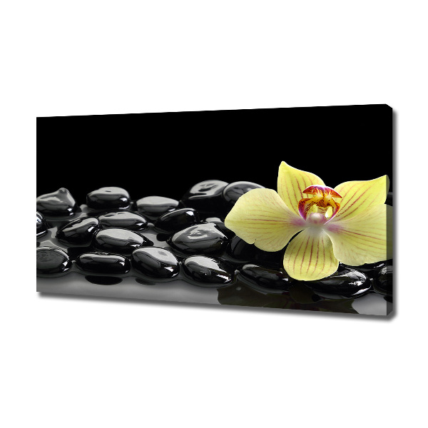 Canvas schilderij Orchidee