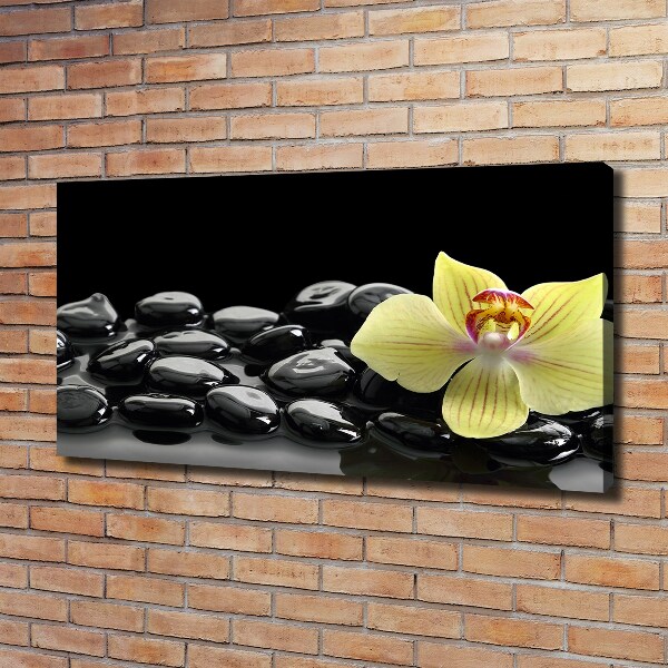 Canvas schilderij Orchidee