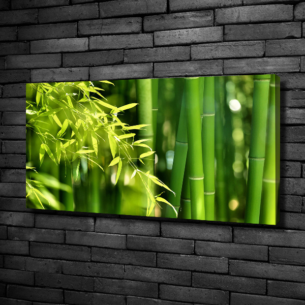 Duży foto obraz na ścianę canvas Bambus
