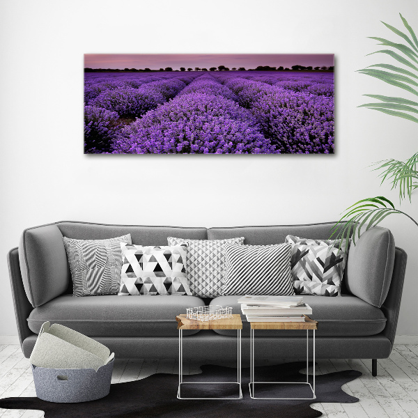 Foto op canvas Lavendelveld
