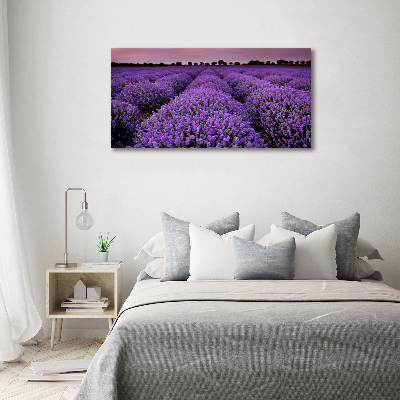 Foto op canvas Lavendelveld