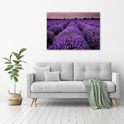 Foto op canvas Lavendelveld