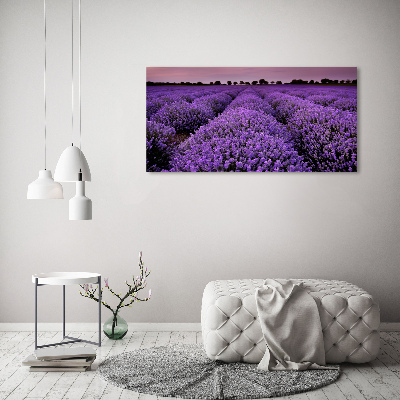 Foto op canvas Lavendelveld