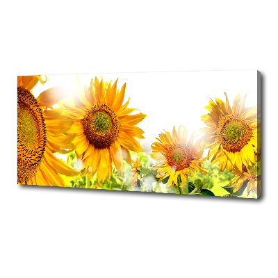 Canvas foto Zonnebloemen