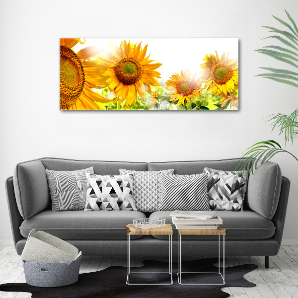 Canvas foto Zonnebloemen