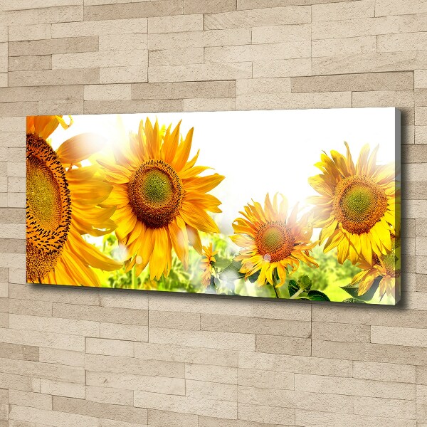 Canvas foto Zonnebloemen