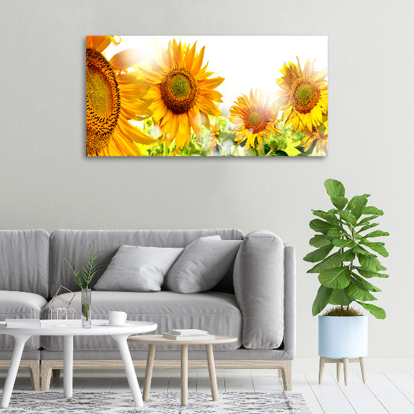 Canvas foto Zonnebloemen