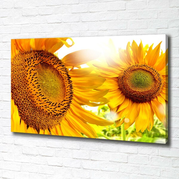 Canvas foto Zonnebloemen