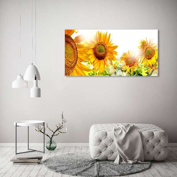 Canvas foto Zonnebloemen