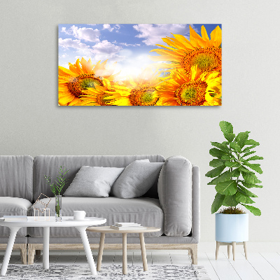 Schilderij op canvas Zonnebloemen
