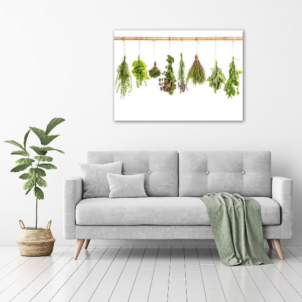 Foto op canvas Kruiden aan een touwtje