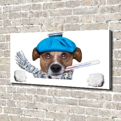 Foto op canvas Zieke hond