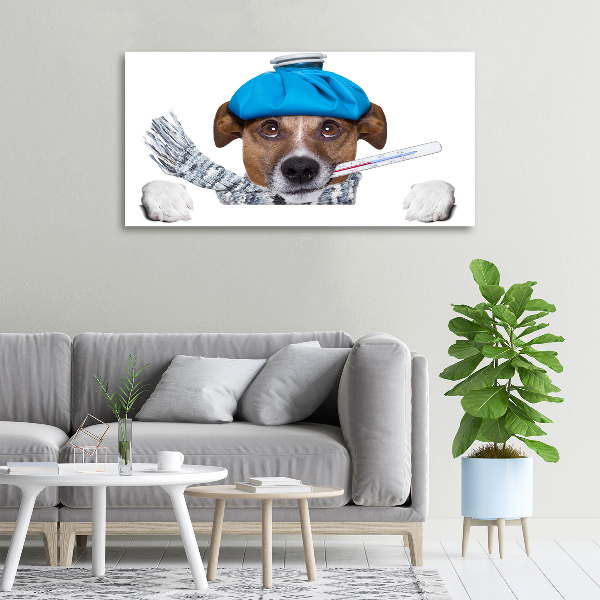 Foto op canvas Zieke hond