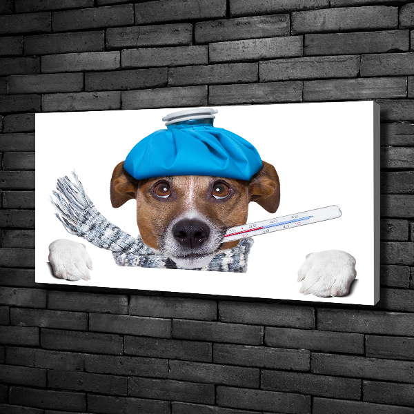 Foto op canvas Zieke hond
