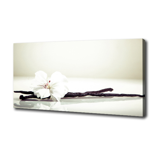 Foto obraz na płótnie Laska wanilii