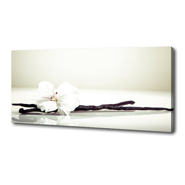 Foto op canvas Vanillestokje