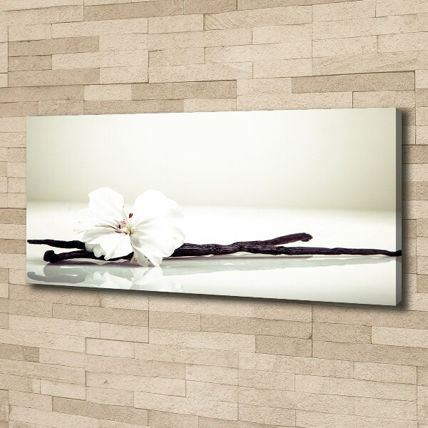 Foto op canvas Vanillestokje