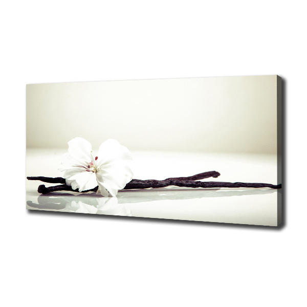 Foto obraz na płótnie Laska wanilii