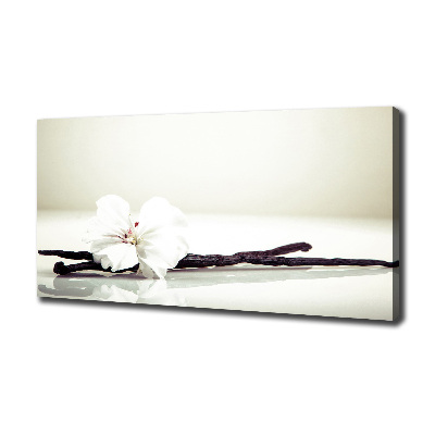 Foto obraz na płótnie Laska wanilii