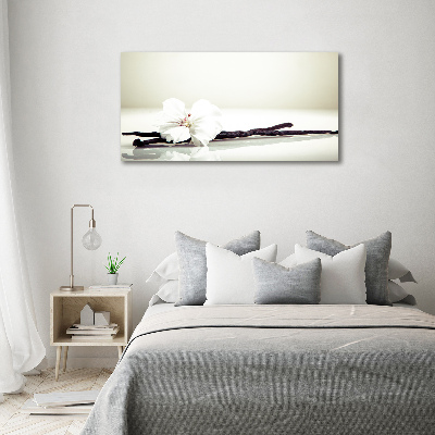 Foto op canvas Vanillestokje