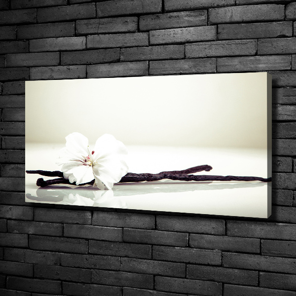 Foto op canvas Vanillestokje
