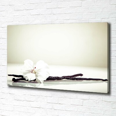 Foto op canvas Vanillestokje