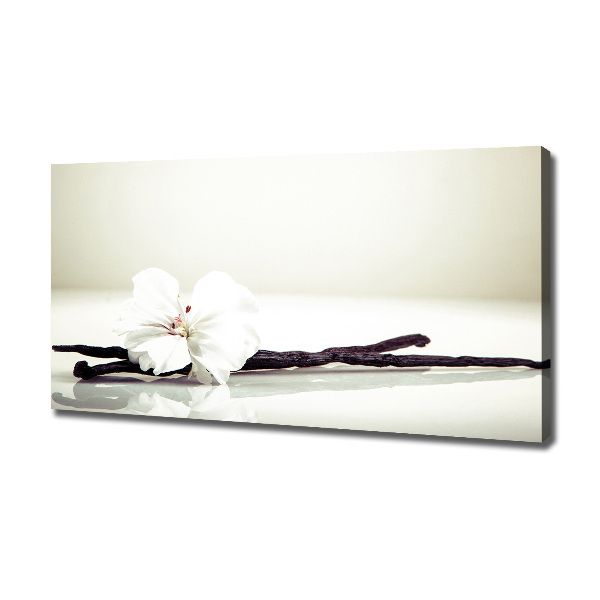 Foto obraz na płótnie Laska wanilii