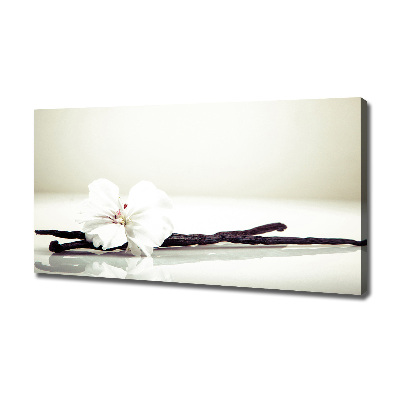 Foto op canvas Vanillestokje