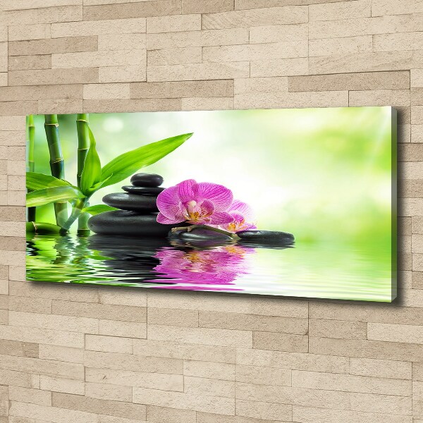 Canvas foto Orchidee