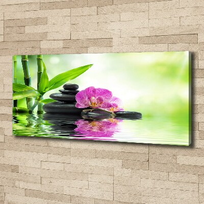 Canvas foto Orchidee