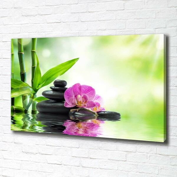 Canvas foto Orchidee