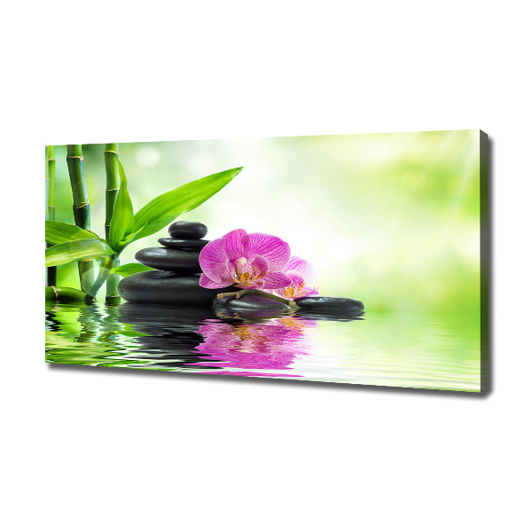 Canvas foto Orchidee