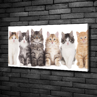 Canvas schilderij Zes katten