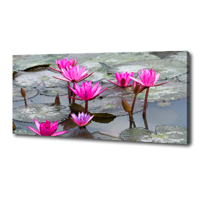 Foto canvas Lotusbloem