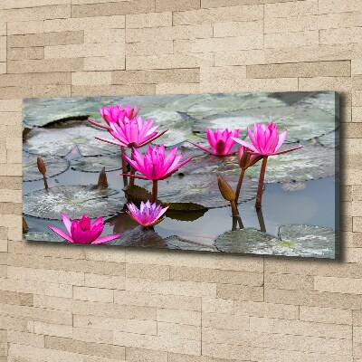 Foto canvas Lotusbloem