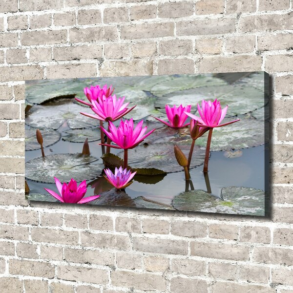 Foto canvas Lotusbloem